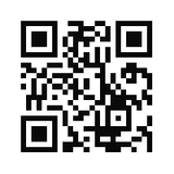 Bold & Curious Unisex T shirt